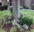 landscaping visalia