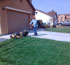 lawn care service