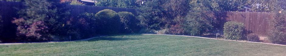 Lawn Service Gallery