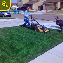 Green Lawn Care Service