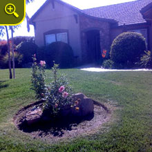 Landscape enhancements