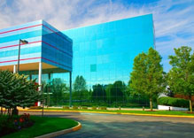 Commercial Lawn Service