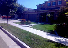 Bed and Sidewalk Edging