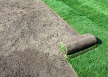 Sod Installation