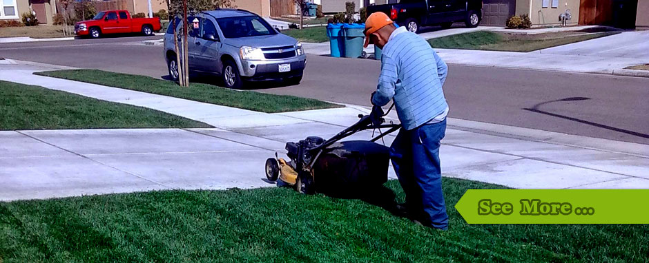 Lawn Service Visalia