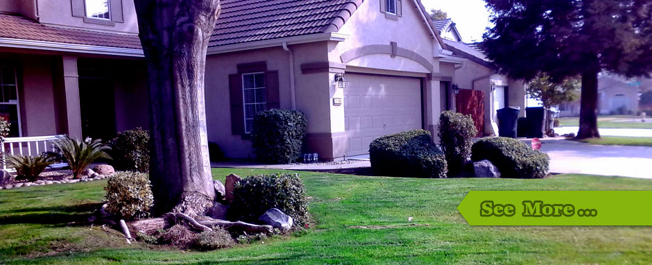 Lawn care service visalia