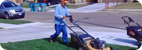 Lawn Maintenance Visalia